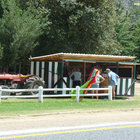 Farm Stalls